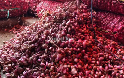uploads/news/2025/12/harga-bawang-merah-di-352428c7118ae9c_400.jpeg
