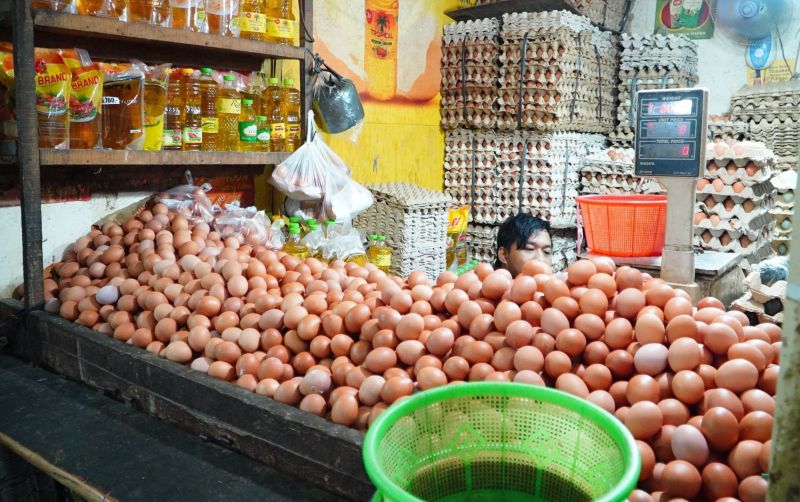 uploads/news/2025/12/jelang-nataru-harga-telur-27658eb765bccf6.jpg
