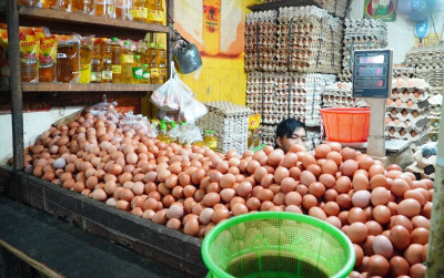 uploads/news/2025/12/jelang-nataru-harga-telur-27658eb765bccf6_400.jpg