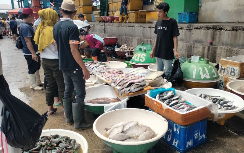 uploads/news/2025/12/pantauan-harga-ikan-di-13881a5f08ad57d.jpg