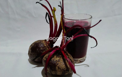 uploads/news/2026/01/jus-buah-bit-minuman-951179b9c836f0a_400.jpeg