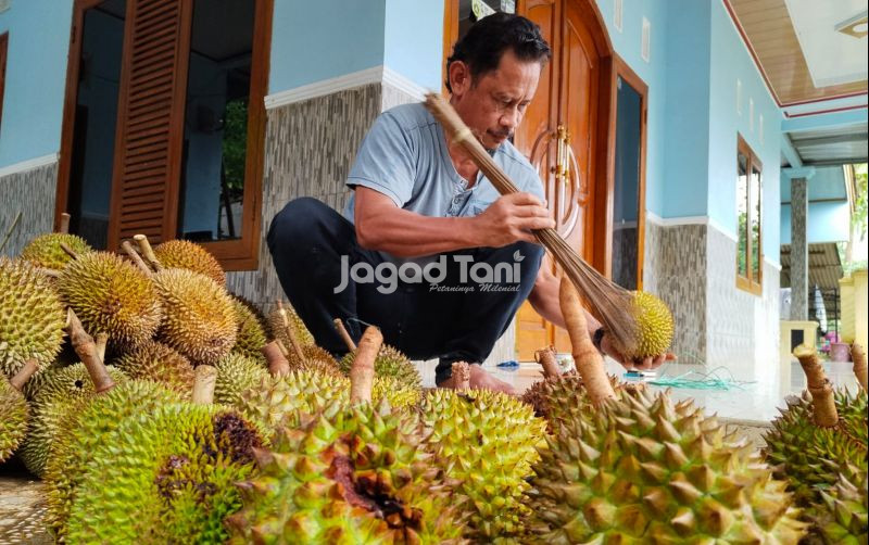uploads/news/2026/01/petani-durian-bogor-ungkap-615083048b0d80b.jpeg