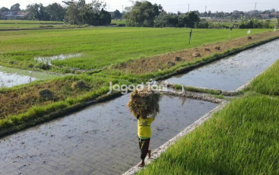 uploads/news/2026/02/gubernur-jateng-larang-alih-682166f08f8a110_400.jpeg