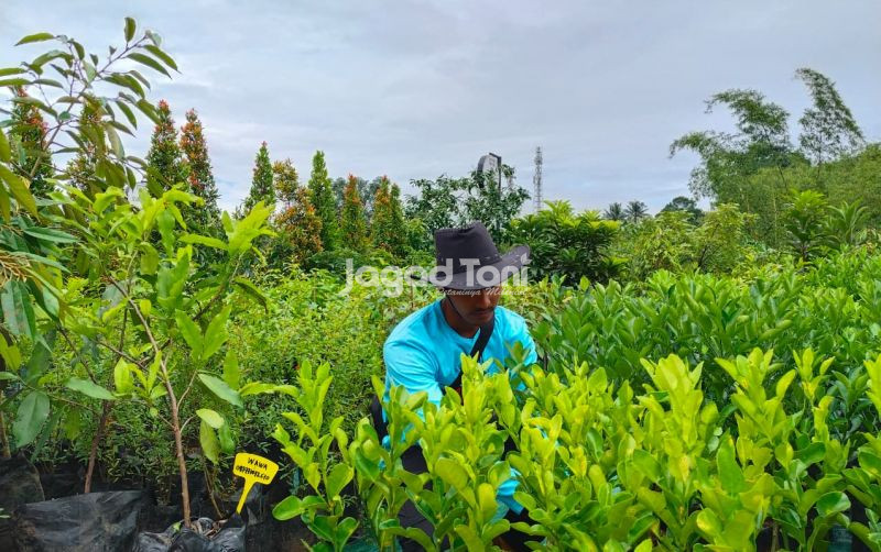 Pantauan Harga Bibit Lapak Gen-Z Pasar Petani