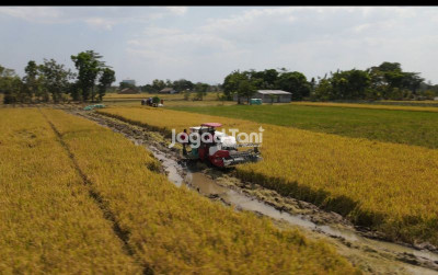 uploads/news/2026/02/petani-mojorembun-raup-untung-717546831d85996_400.jpeg