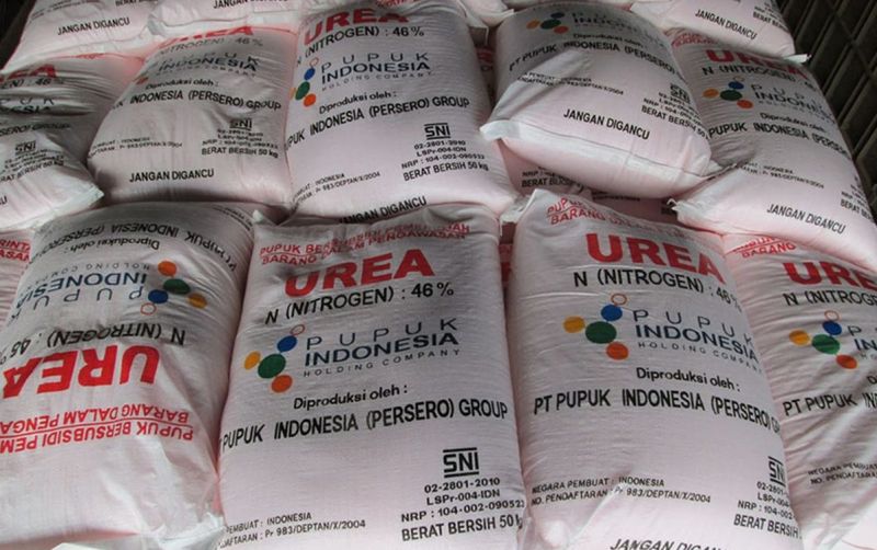 uploads/news/2026/03/distribusi-pupuk-dunia-terganggu--93534cb4f1f0e38.jpg