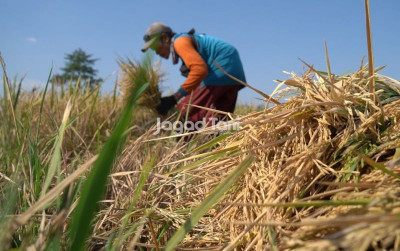 uploads/news/2026/03/hadapi-kemarau-petani-bisa-9632807547c0174_400.jpeg