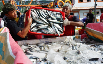 uploads/news/2026/03/ikan-impor-yang-masuk-8472108a715b4ea_400.jpg