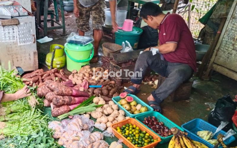 Komoditas Pangan Berbagai Daerah Alami Inflasi Harga