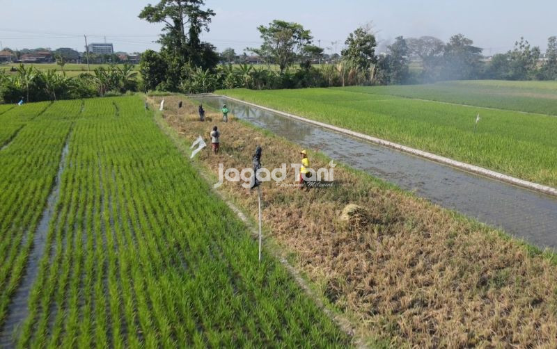 uploads/news/2026/03/negara-negara-dengan-luas-lahan-36434f8c7037a3f.jpeg