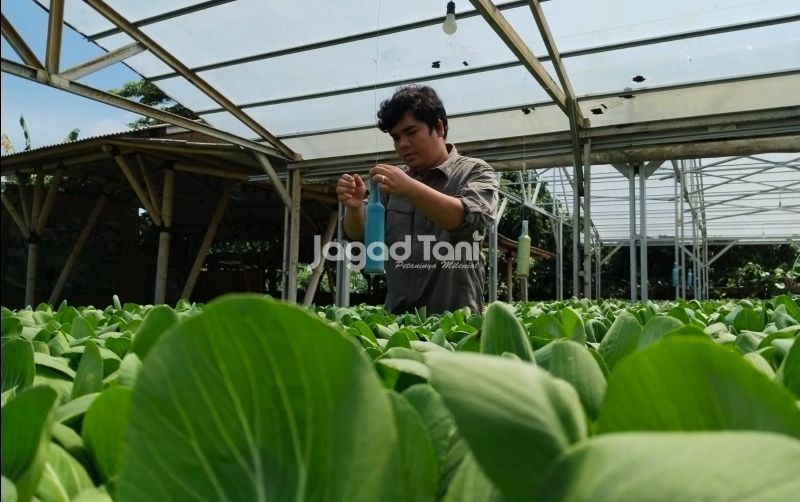 uploads/news/2026/03/perjalanan-pagi-farm-dari-663021e8a49baf5.jpeg