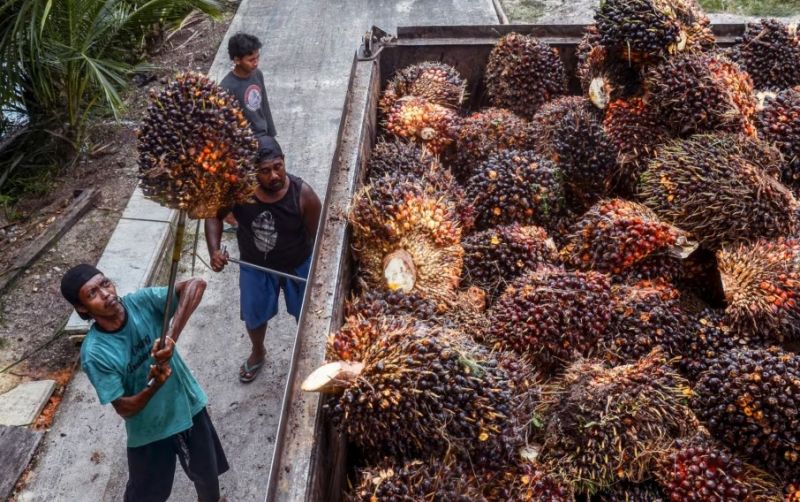 uploads/news/2026/03/sengketa-minyak-sawit-indonesia-3498746ff0454f0.jpeg