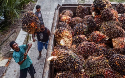 uploads/news/2026/03/sengketa-minyak-sawit-indonesia-3498746ff0454f0_400.jpeg