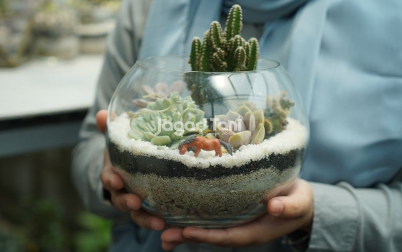 uploads/news/2026/03/terarium-dunia-mini-hijau-98419ca5440c5fb.jpeg