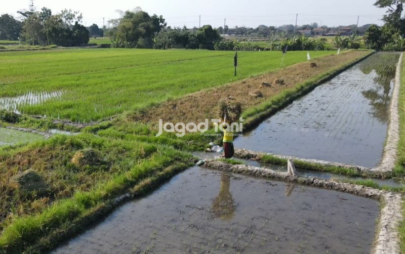 uploads/news/2026/04/advance-agriculture-system-diterapkan-50979b3d9ae3b5d.jpeg