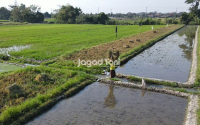 uploads/news/2026/04/advance-agriculture-system-diterapkan-50979b3d9ae3b5d_400.jpeg