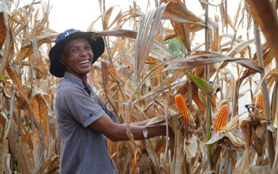 uploads/news/2026/04/inpres-terbit-petani-jagung-5058133b285691b_400.jpg