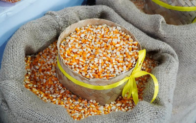 uploads/news/2026/04/penyaluran-jagung-pakan-sphp-2335021fde303f1_400.jpeg