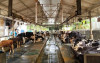 uploads/news/2026/04/perusahaan-milik-djarum-buat-198708b991d55d1_100.jpeg