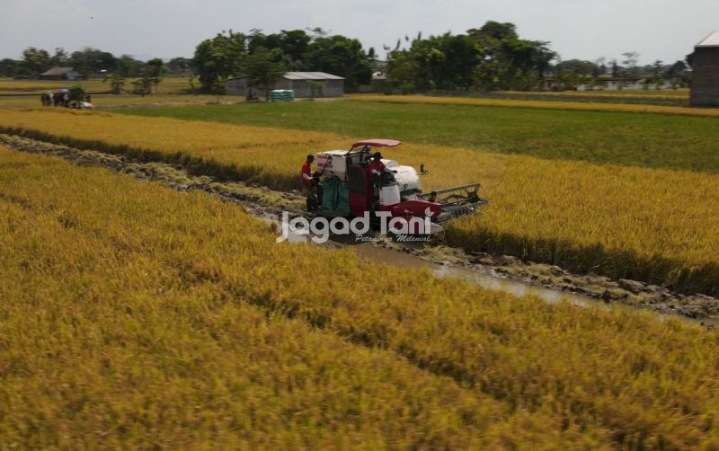 uploads/news/2026/04/rehabilitasi-sawah-pascabencana-di-563605b5f5374c1.jpeg