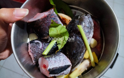 uploads/news/2026/04/resep-ikan-gabus-kukus-76859f97d5198cb_400.jpg