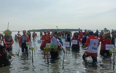 uploads/news/2026/05/batang-ubah-kawasan-rob-38104aa3f77175d_400.jpg