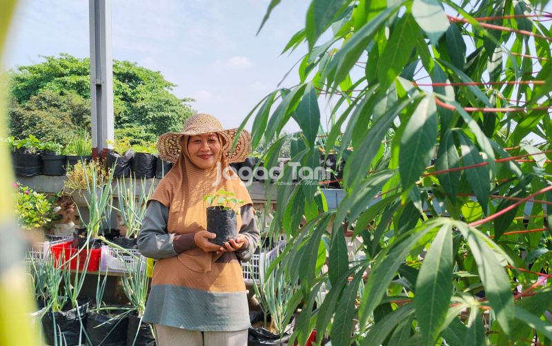 uploads/news/2026/05/bertani-dari-ketinggian-bukan-355657667d3db9e.jpeg