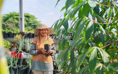 uploads/news/2026/05/bertani-dari-ketinggian-bukan-355657667d3db9e_400.jpeg