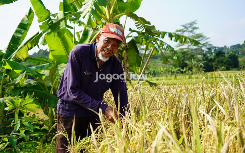 uploads/news/2026/05/catatan-petani-tentang-beras-220998ce7de36fe.jpeg