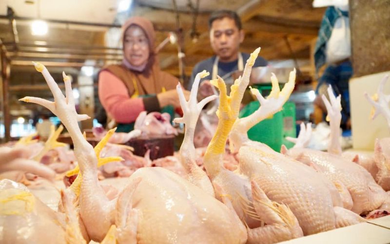 uploads/news/2026/05/indeks-perkembangan-harga-pangan--115584a76a27d8c.jpeg