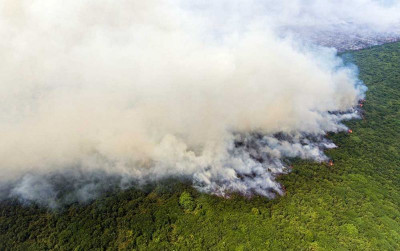 uploads/news/2026/05/langkah-antisipasi-kebakaran-hutan-620734f5c35350e_400.jpg