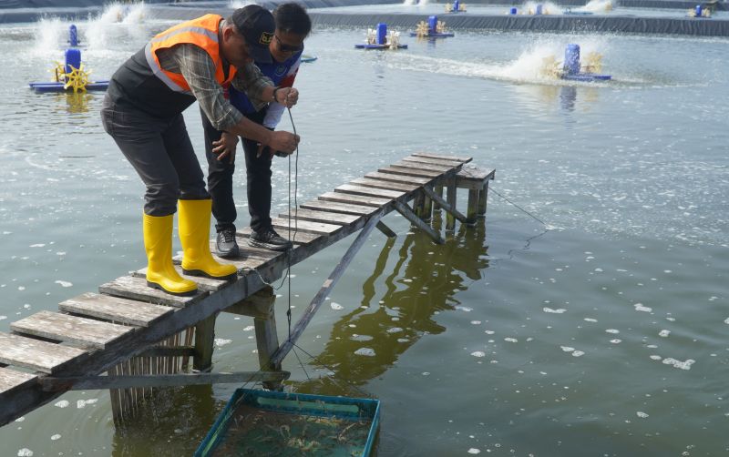 uploads/news/2026/05/panen-lanjutan-bubk-kebumen-47650be38a25ee4.jpg