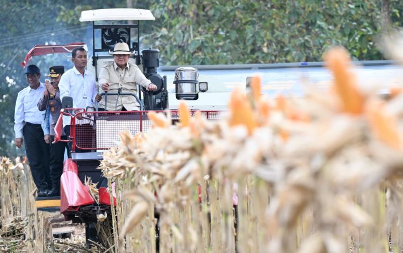 uploads/news/2026/05/panen-raya-jagung-tuban-49446980a23f5ff.jpg