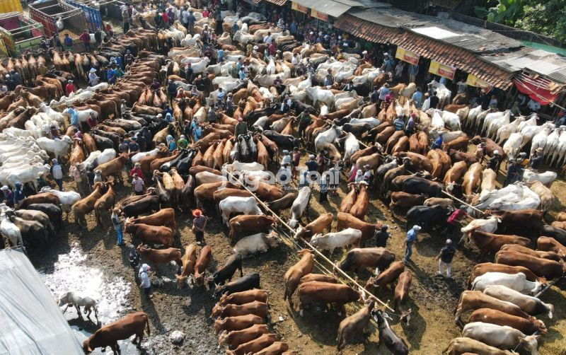 uploads/news/2026/05/presiden-kurban-1098-sapi--56825f82f71ce11.jpeg
