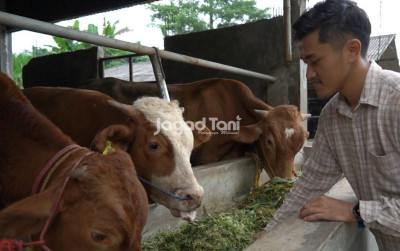 uploads/news/2026/05/rumput-unggulan-lokal-pakan-932855a88228b45_400.jpeg