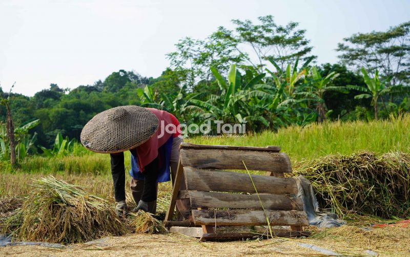 uploads/news/2026/05/sektor-pertanian-masuk-tiga-51159f80b26eb13.jpeg