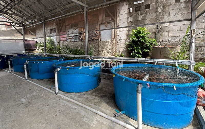 uploads/news/2026/05/sistem-bioflok-jadi-pilihan-606456cb5465122.jpg