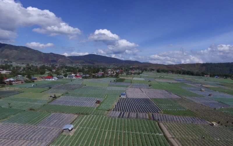 uploads/news/2026/05/strategi-tanam-untuk-menghadapi-754272777cf40c4.png