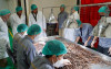 uploads/news/2026/05/vanila-indonesia-diburu-pasar-98866fac94dfdac_100.jpg