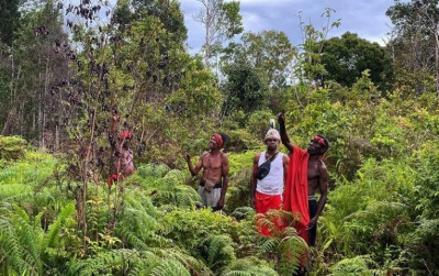 uploads/news/2026/06/ancaman-degradasi-hutan-uu-330438b9f091982_400.jpg
