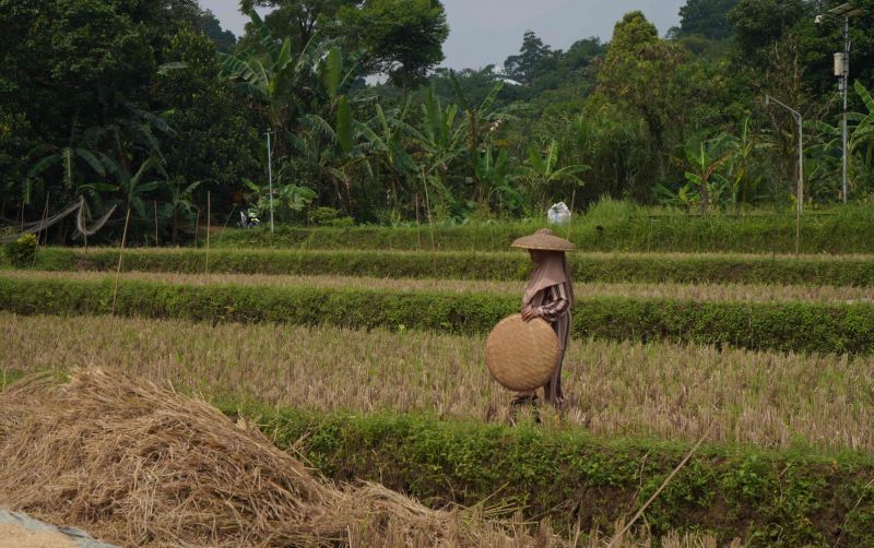 uploads/news/2026/06/dinamika-iklim-percepatan-tanam-7663660e7c28208.jpeg