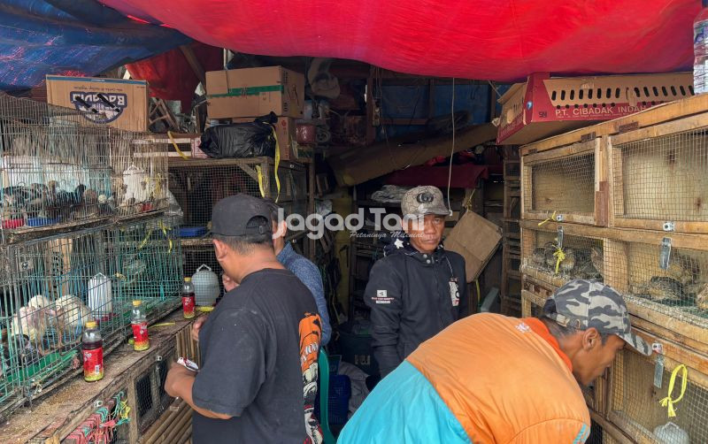 uploads/news/2026/06/dolar-melonjak-harga-unggas-47325bb9241db2d.jpeg
