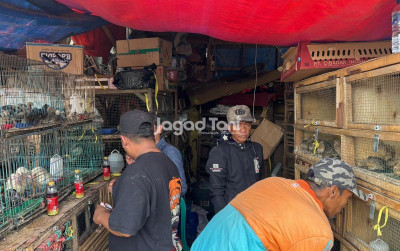uploads/news/2026/06/dolar-melonjak-harga-unggas-47325bb9241db2d_400.jpeg