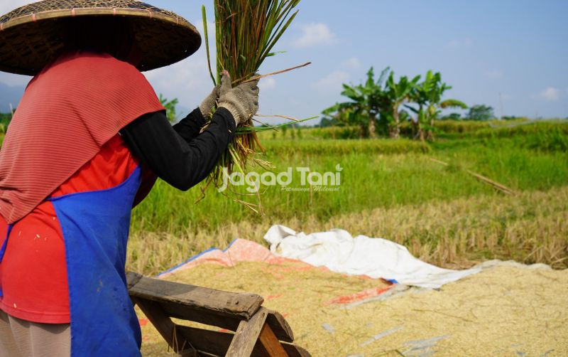 uploads/news/2026/06/indonesia-dan-sejumlah-negara-845063335288743.jpeg
