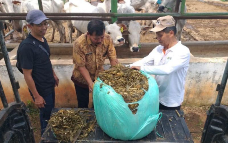 uploads/news/2026/06/perkuat-cadangan-pakan-ternak--5608775932eaca7.png