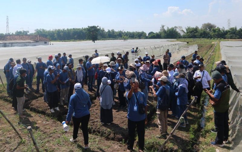 uploads/news/2026/06/pertanian-berbasis-teknologi-bisa-408603499087e62.jpg