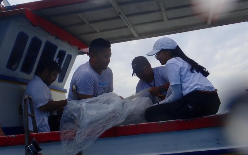 uploads/news/2026/06/puluhan-ekor-ikan-hiu-66220776135e077.jpg