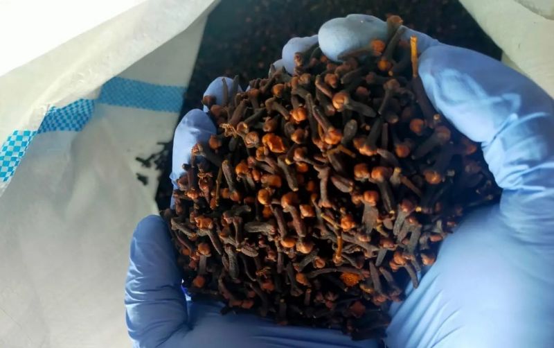 Semarang Tampung 188,7 Ton Cengkih Kepulauan Natuna