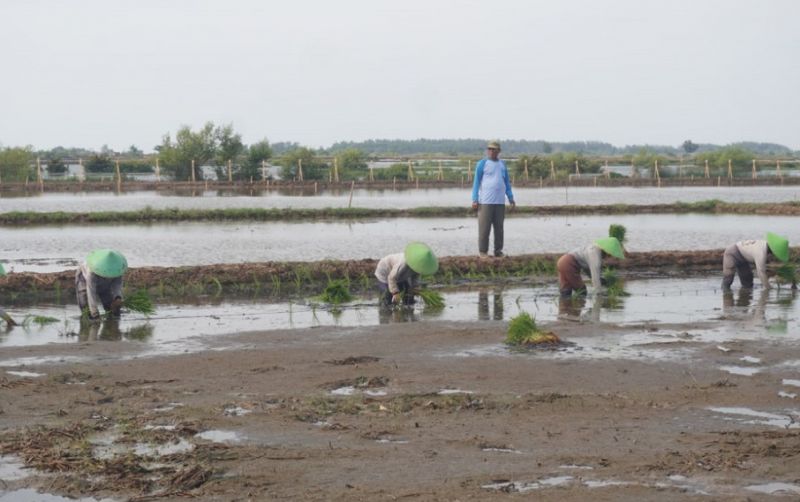 uploads/news/2026/07/antisipasi-kemarau-panjang-batang-32877ef4c9a65e9.jpeg