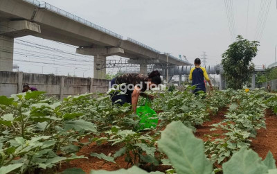 uploads/news/2026/07/atasi-kemarau-panjang-bmkg-73783df60c54d22_400.jpg